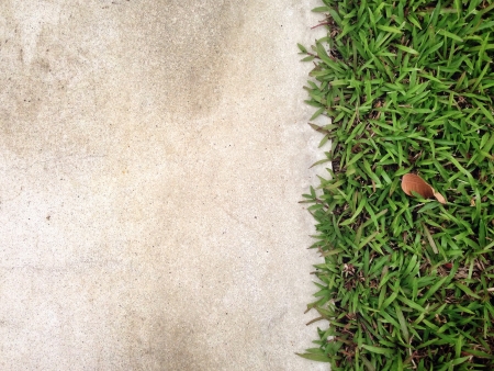 Cement and Grassの素材