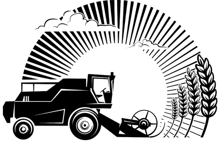Combine harvester on a wheat field against sun. Vector illustration in the engraving style. Picture can be used for design labels and package. のイラスト素材