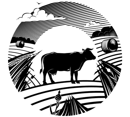Rural landscape with cow stands on field under cloudy sky. Vector illustration in the engraving manner. Picture can be used for design labels. のイラスト素材
