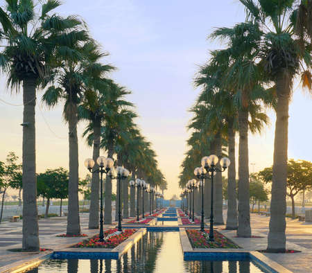 Symmetry design in park. Trees, flowers and lights symmetrically arranged in a park in Dammam. Photo...