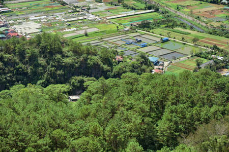 Man-made fish pond surrounded by pine trees and agricultural farms. Photo taken in Benguet, Philippines on February 16, 2017.のeditorial素材