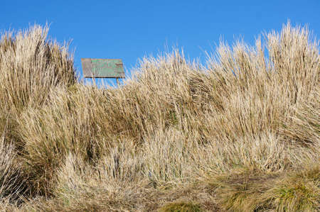 Signage on the peak of Mount Pulag, a high mountain in the Philippines. Photo taken in Benguet, Philippines, Southeast Asia on February 22, 2017.のeditorial素材