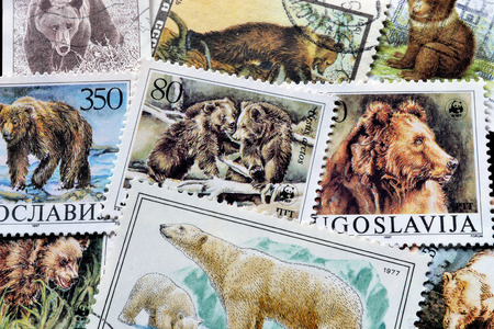 Bears on stampsのeditorial素材