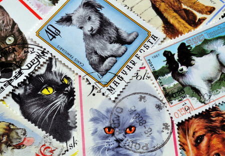 Cats and dogs on stampsのeditorial素材