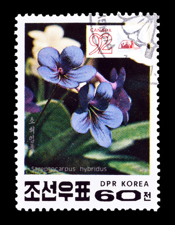 Cancelled postage stamp printed by North Korea, that shows Cape Primrose flower, circa 1991.のeditorial素材