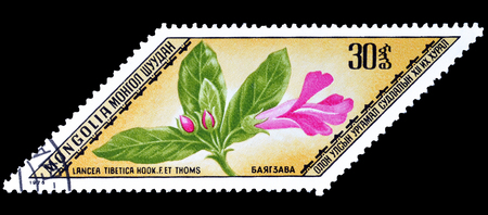 Cancelled postage stamp printed by Mongolia, that shows Lancea tibetica, circa 1975.のeditorial素材