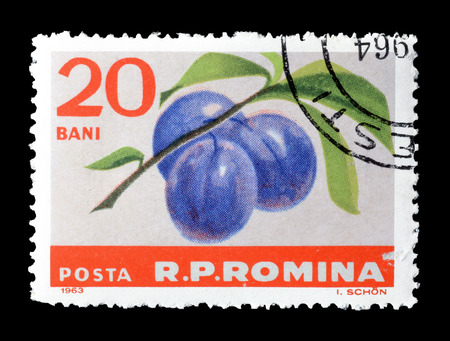 Cancelled postage stamp printed by Romania, that shows plums, circa 1963.のeditorial素材