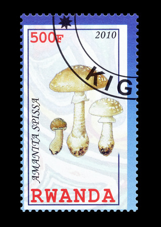 Cancelled postage stamp printed by Rwanda, that shows Amantia Spissa mushroom, circa 2010.のeditorial素材