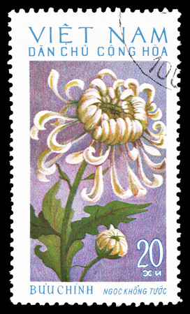 Cancelled postage stamp printed by Vietnam, that shows Chrysanthemum, circa 1974.のeditorial素材