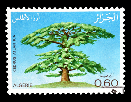 Cancelled postage stamp printed by Algeria, that shows Cedar tree, circa 1981.のeditorial素材