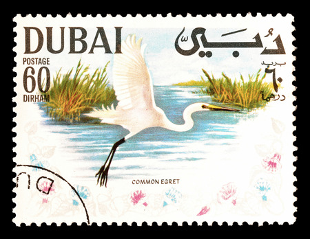 Cancelled postage stamp printed by Dubai, that shows Common Egret, circa 1968.のeditorial素材