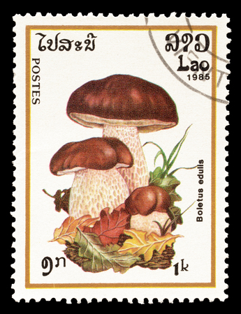 Cancelled postage stamp printed by Laos, that shows Boletus Edulis mushroom, circa 1985.のeditorial素材