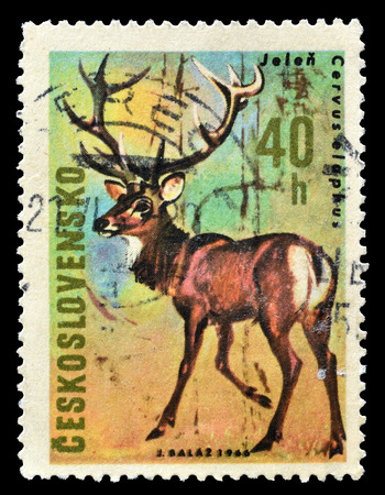 Cancelled postage stamp printed by Czechoslovakia, that shows Deer, circa 1966.のeditorial素材