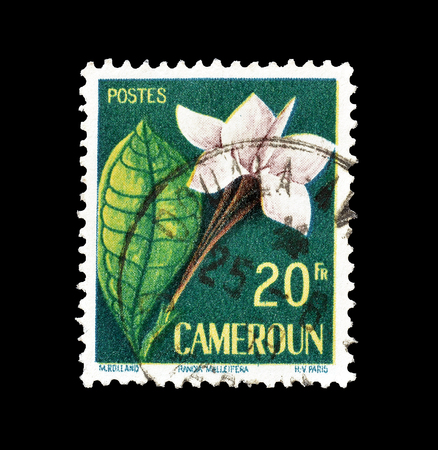 Cancelled postage stamp printed by Cameroon, that shows Randia malleifera, circa 1959.のeditorial素材