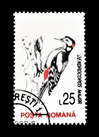 Cancelled postage stamp printed by Romania, that shows Great Spotted Woodpecker, circa 1993.のeditorial素材