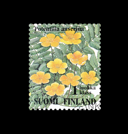 Cancelled postage stamp printed by Finland, that shows Common Silverweed, circa 1994.