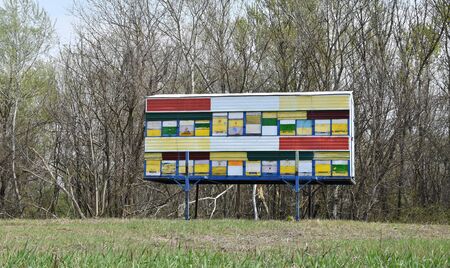 Beehives on a metal construction in rural part of the country
