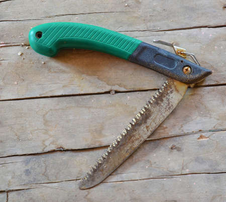 Foldable hand saw for cutting branches