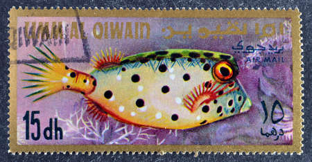 Cancelled postage stamp printed by Emirate of Umm Al Quwain, that shows Yellow Trunkfish (Ostracion...