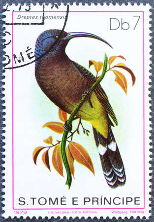 Cancelled postage stamp printed by  SÃ£o TomÃ© and PrÃ­ncipe , that shows Giant Sunbird (Dreptes thomensis), circa 1979.のeditorial素材