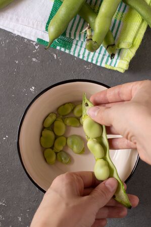 Raw Organic Fresh Green Fava Beansの写真素材