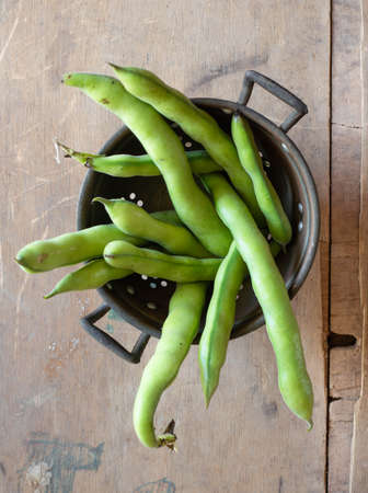 Raw Organic Fresh Green Fava Beansの写真素材