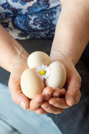 A woman holding several eggs and a flowerの写真素材