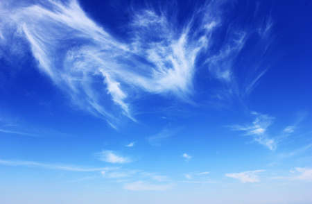 A beautiful blue sky in Augustの写真素材