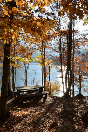 Autumn landscape with bench on the shore of lake in the forest.の写真素材
