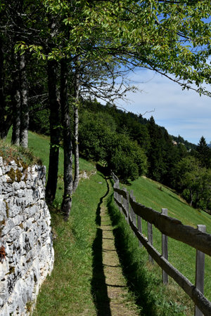 Path in the mountains with a fence in the foreground and trees in the background.の写真素材
