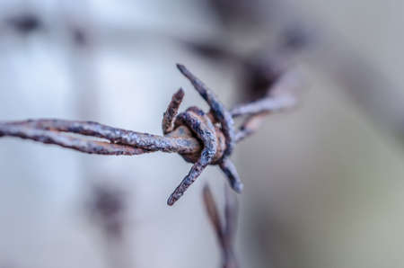 Rusted Barbed Wire