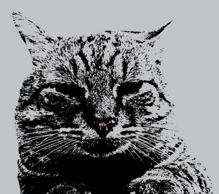 Silhouette of Cat Muzzle in Black and White and Pink noseのイラスト素材