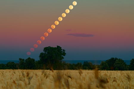 Spring - the Moon is rising just before the blue hour above a wheat field. A natural painting with all the rainbow colors1の写真素材