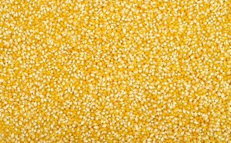 Yellow sweet corn backgroundの写真素材