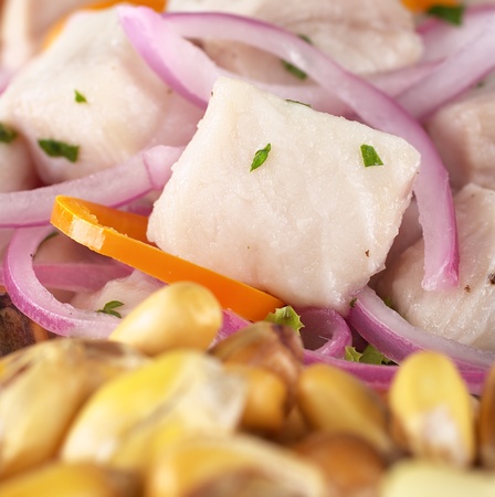 Peruvian-style ceviche made out of raw dogfish (Spanish: tollo), red onions and aji (Peruvian hot pepper) and served with roasted corn (cancha) (Selective Focus, Focus on the fish)の写真素材