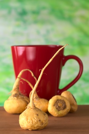 Peruvian Ginseng (Sp. Maca, lat. Lepidium meyenii) which is widely used in Peru for its various health effects and high nutritional value with a red tea cup in the back on wood (Selective Focus, Focus on the front root)の写真素材