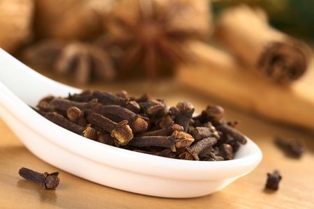 Cloves on ceramic spoon with anise, cinnamon and nuts in the back (Selective Focus, Focus on the cloves in the front)の写真素材