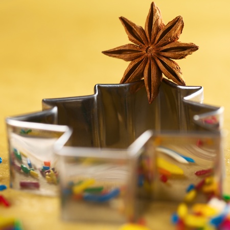 Star anise on Christmas tree shaped cookie cutter lying on dough (Selective Focus, Focus on the middle of the anise)の写真素材