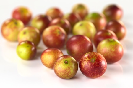 Camu camu berry fruits (lat. Myrciaria dubia) which are grown in the Amazon region and have a very high Vitamin C content (Selective Focus, Focus on the two berries in the front)の写真素材