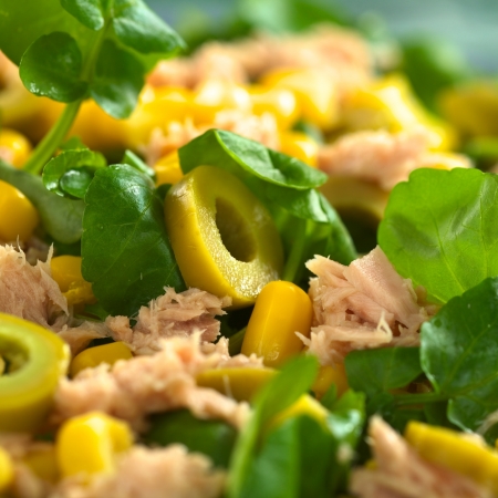 Fresh tuna, sweetcorn, green olive and watercress salad (Selective Focus, Focus on the front of the olive ring in the middle of the salad) の写真素材