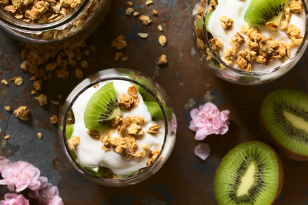 Yogurt parfait with fresh kiwi and crunchy almond and oatmeal granola in glasses, photographed overhead on slate with natural light (Selective Focus, Focus on the top of the parfait)の写真素材