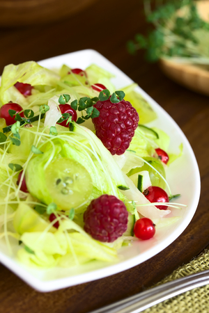 Fresh salad of raspberry, gooseberry, red currant, cucumber and iceberg lettuce sprinkled with chia sprouts, photographed on dark wood with natural light (Selective Focus, Focus on the raspberry in the middle of the salad)の写真素材