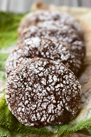 Chocolate crinkle cookies, traditional American Christmas cookies, photographed with natural light (Selective Focus, Focus in the middle of the first cookie)の写真素材