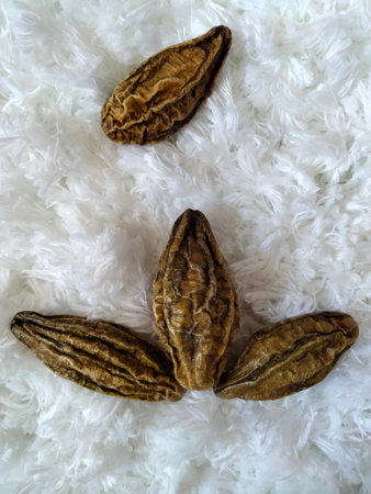 Harad Over White Background