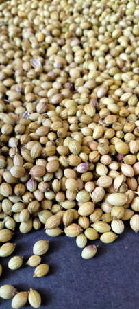 Coriander Seeds Spread Over Dark Background Vertical