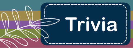 Trivia text written over colorful background with foliage sketch.の写真素材