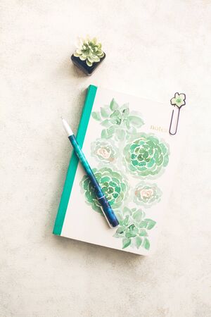 White and green note pad on white desk with blue and teal pen, paperclips and succulent plantの写真素材