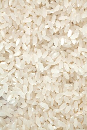 Short grain Italian white rice seamless pattern backgroundの写真素材