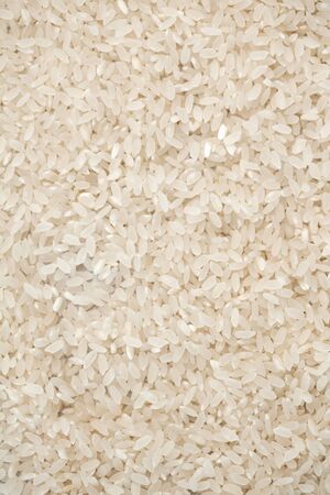 Short grain Italian white rice seamless pattern backgroundの写真素材