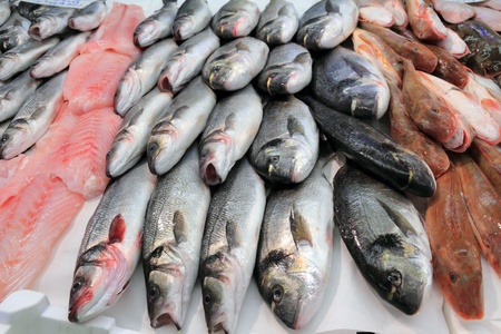 sea bass and bream fresh fish at the market